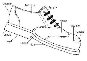 anatomy of a shoe