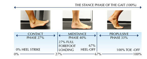 gait cycle