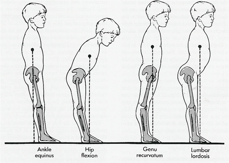 pathology