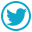 x icon